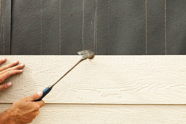 Best Siding Painting and Refinishing  in Arche, OK